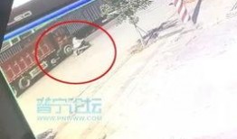 揭阳最新车祸爆料视频,最新视频曝光！