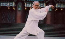 今日太极拳热点爆料视频,揭秘热点爆料视频背后的惊人真相