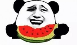 吃瓜群众免费看,尽享娱乐盛宴！