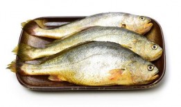 小黄鱼爆料新闻视频下载,揭秘新闻视频背后的下载秘密