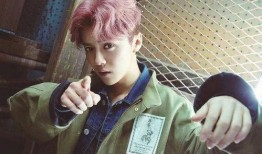 鹿晗最新消息爆料视频,独家爆料视频大揭秘