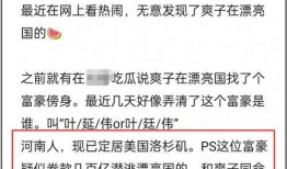 新瓜最新爆料网红视频,新瓜爆料背后的惊人真相