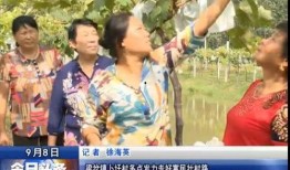 大将星光村爆料视频