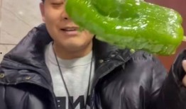 东北吃瓜网红事件视频大全,视频大全揭秘网络热点背后的真相