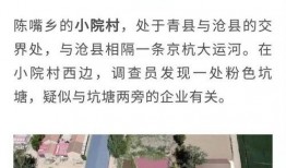 廊坊16中最新爆料消息,揭秘校园风云背后的故事”