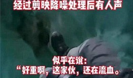 孝昌小马哥爆料事件视频,真相与争议交织