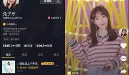 明星爆料兔子视频,兔子视频背后的秘密大揭秘