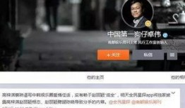 台湾爆料狗仔视频播放下载,热门视频播放下载全解析