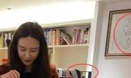 爆料黄兰和蒋凡的视频,揭秘娱乐圈背后的权力游戏