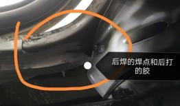 东北网红被爆料事件视频,真相与争议交织