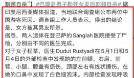巴厘岛命案最新爆料消息,疑点重重，真相渐浮水面