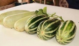 网红吃瓜视频2023