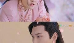 双世24在线观看,穿越时空的奇幻之旅