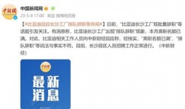 陕西比亚迪离职员工爆料原视频,揭秘内部真相与离职原因