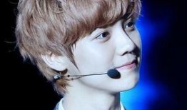 鹿晗爆料韩国人视频大全,韩国人视频大全背后的真实故事