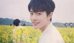 狗子爆料杨紫肖战视频,狗子爆料背后真相揭秘