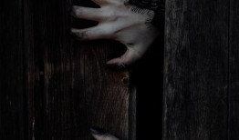 爆料惊悚小故事视频大全,揭秘爆料惊悚小故事大全