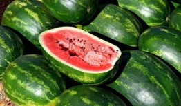 吃瓜素材免费,吃瓜群众眼中的明星幕后故事