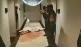 巴厘岛遇害爆料视频大全,惊心动魄的真相还原