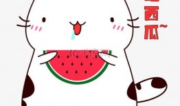 小狼吃瓜表情包下载免费,趣味横生的免费下载盛宴