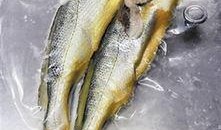 小黄鱼爆料新闻视频下载,揭秘新闻视频背后的下载秘密