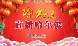 桂林除夕新闻大爆料最新,烟花璀璨，民俗盛宴，新春佳节氛围浓