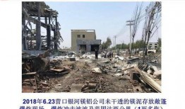 石家庄水厂爆料事件视频,揭露背后真相与争议