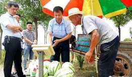 禹城吃瓜最新事件爆料新闻