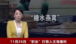 燕窝爆料新闻视频,揭秘行业黑幕，视频揭露惊人真相