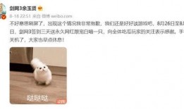 吃瓜打脸小说全文阅读免费,小说全文免费阅读，揭开娱乐圈的虚伪面纱