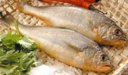 小黄鱼爆料新闻视频下载,揭秘新闻视频背后的下载秘密