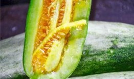 吃瓜超有料网红,揭秘娱乐圈幕后故事