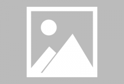 最新老鼠爆料新闻报道,揭秘娱乐圈惊人内幕