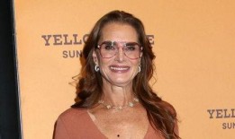 布鲁克最新爆料视频大全,揭秘幕后真相与精彩瞬间