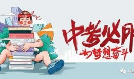 万达爆料最新消息视频大全,揭秘幕后真相与精彩瞬间