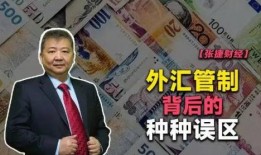 张捷爆料温铁军视频,深度解析背后的经济真相