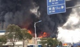 石家庄水厂爆料事件视频,揭露背后真相与争议
