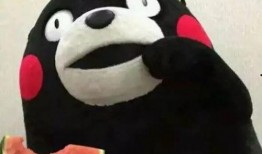 小狼吃瓜表情包下载免费,趣味横生的免费下载盛宴