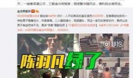 河南出轨爆料视频,一场婚外情的真实演绎