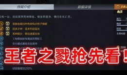 王者之武爆料视频,揭秘神秘爆料视频中的绝世武功与传奇故事