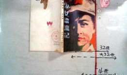 少女漂流记在线观看,青春岁月的奇幻漂流之旅