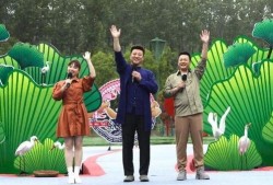 大蓝最新爆料新闻视频下载,最新爆料新闻视频深度解析