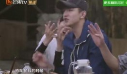 嘎子爆料贾乃亮视频,揭秘背后惊人真相