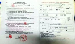 华西家长爆料新闻,校园安全事件引发社会关注