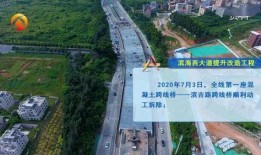 爆料树人改造视频大全集,揭秘视频大全集背后的惊人蜕变历程