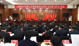 周口市最新爆料新闻事件,最新爆料揭示惊人真相