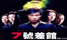 7号差馆国语在线观看,揭秘神秘警局，在线观看探秘之旅