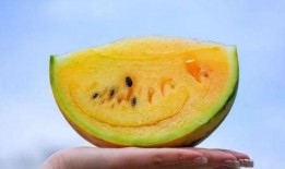 如何免费获得吃瓜,轻松享受美食盛宴