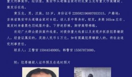吉林省大学爆料案件最新,揭秘校园安全事件背后的真相与反思”