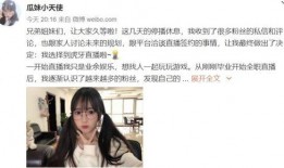 婉儿博主爆料视频大全下载,揭秘幕后真相，带你领略网络风云